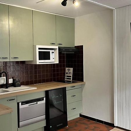 Studio Dent Du Caiman, Chamonix Hyper Centre, Parking, Vue Mont Blanc 외부 사진