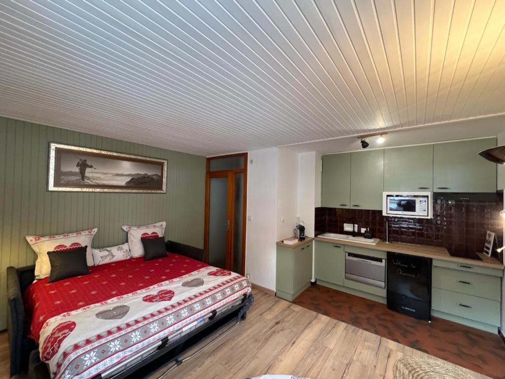 Studio Dent Du Caiman, Chamonix Hyper Centre, Parking, Vue Mont Blanc 외부 사진
